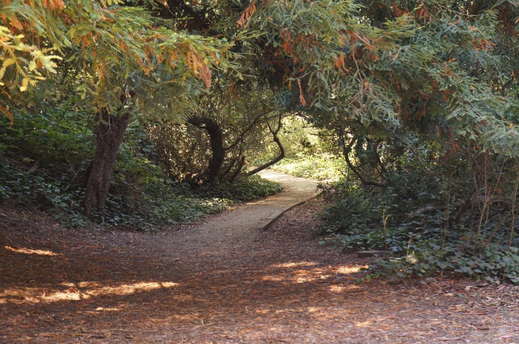 DSC03222
