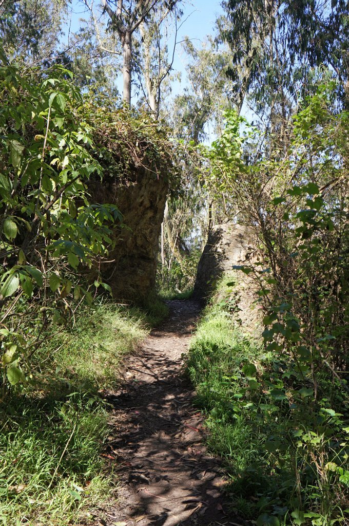 DSC03265