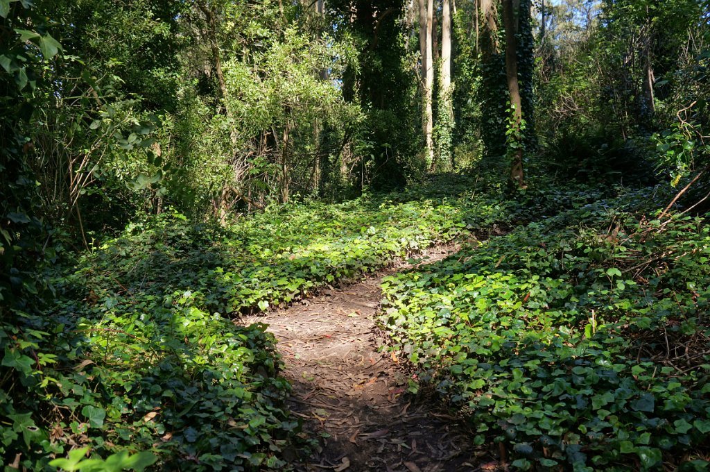DSC03316