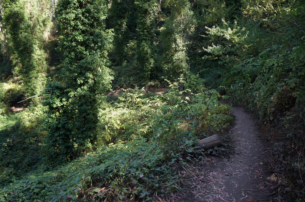 DSC03353