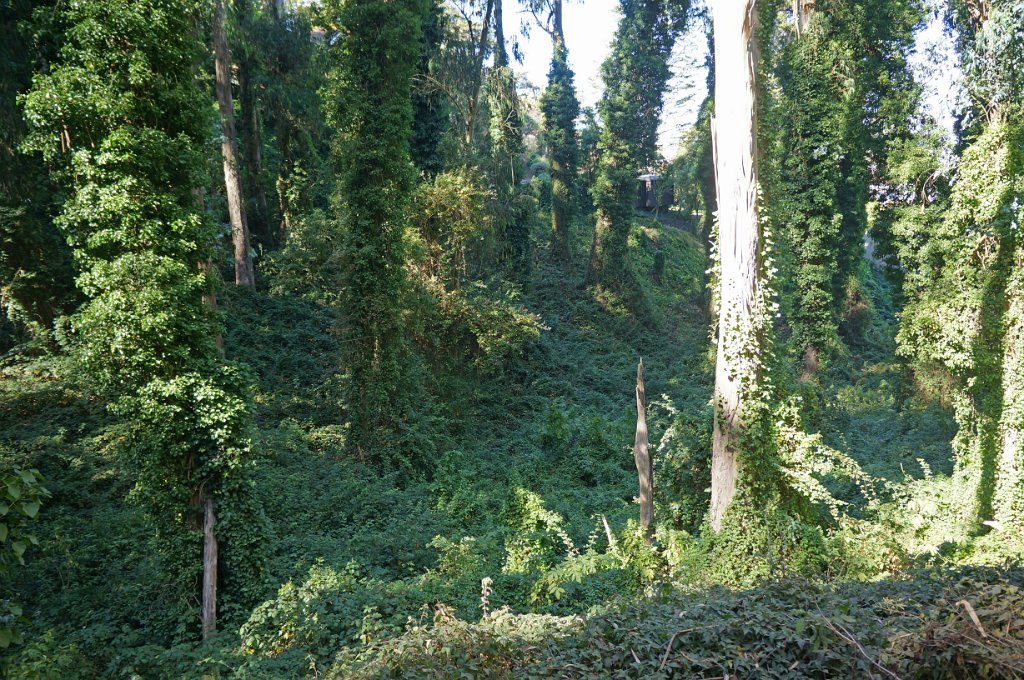 DSC03360