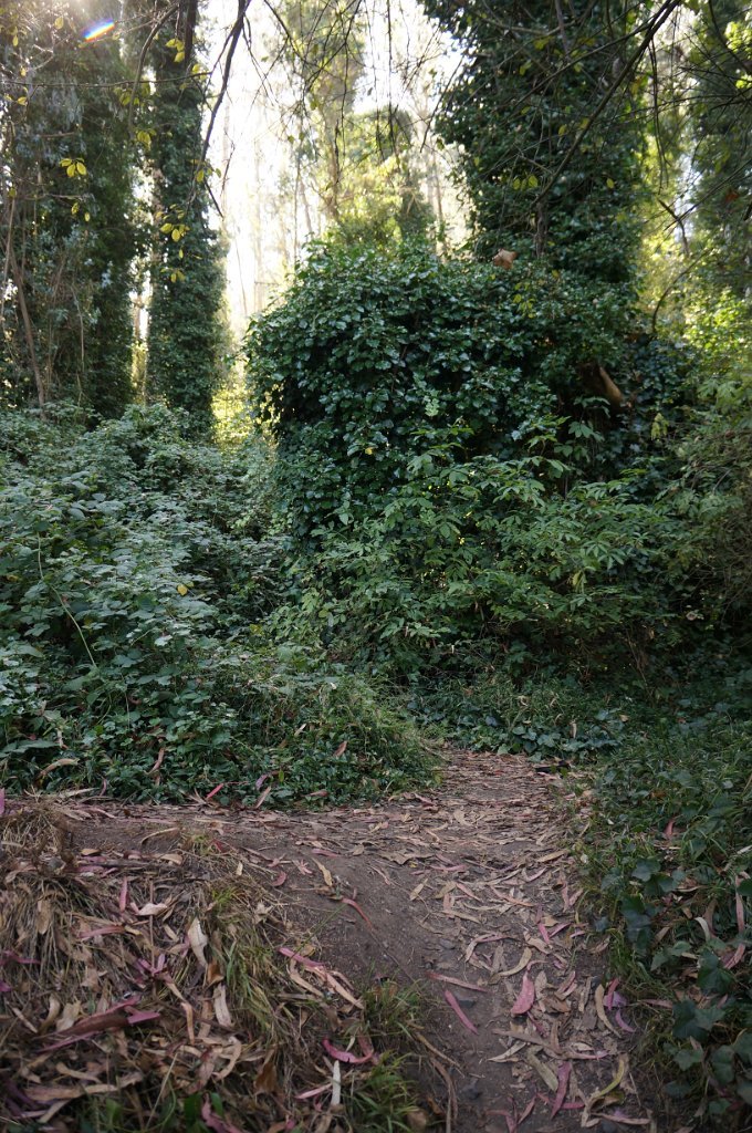 DSC03368