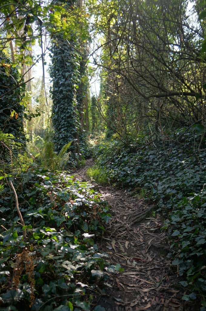 DSC03371