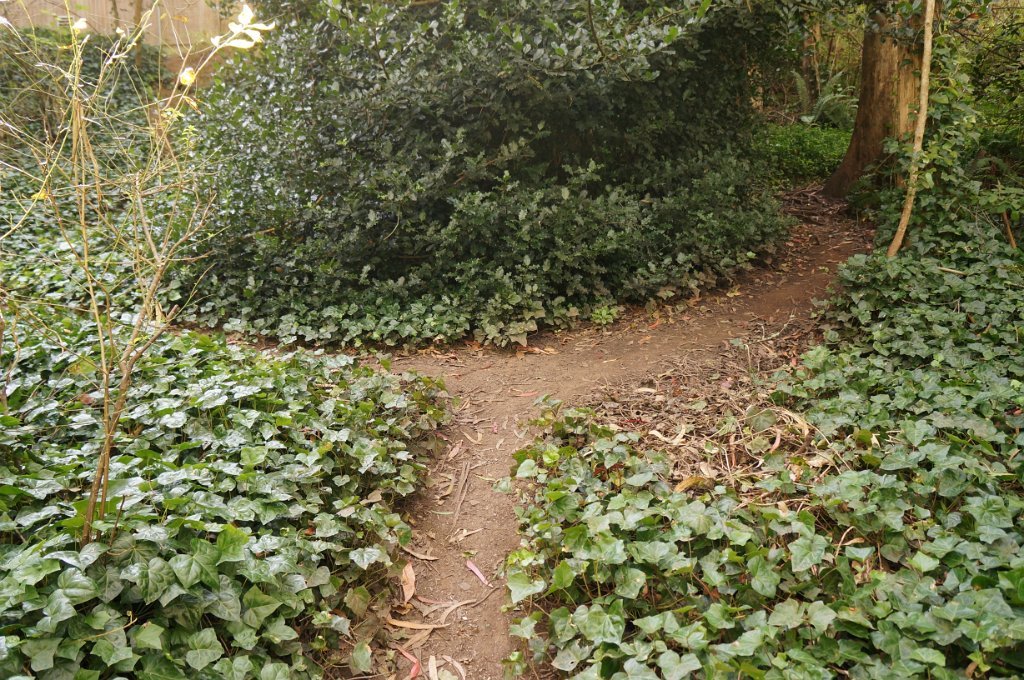 DSC03372