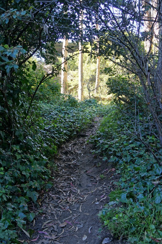 DSC03376