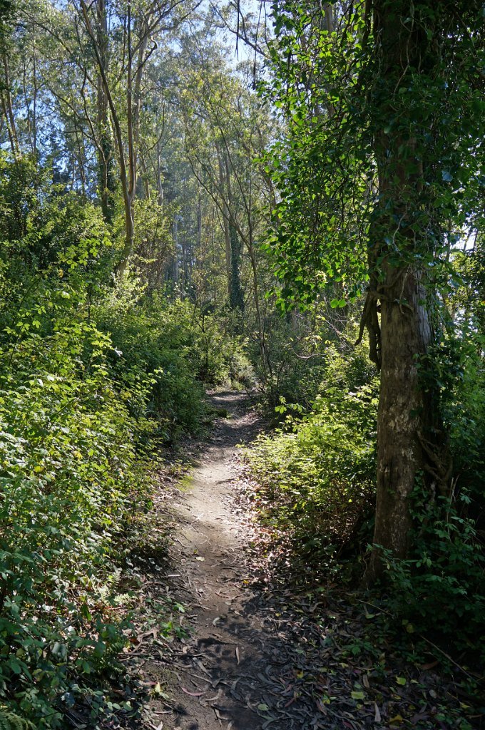 DSC03386
