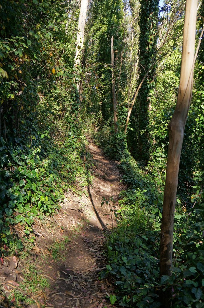 DSC03395