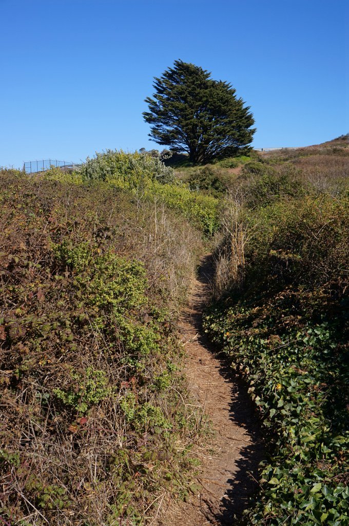 DSC03407