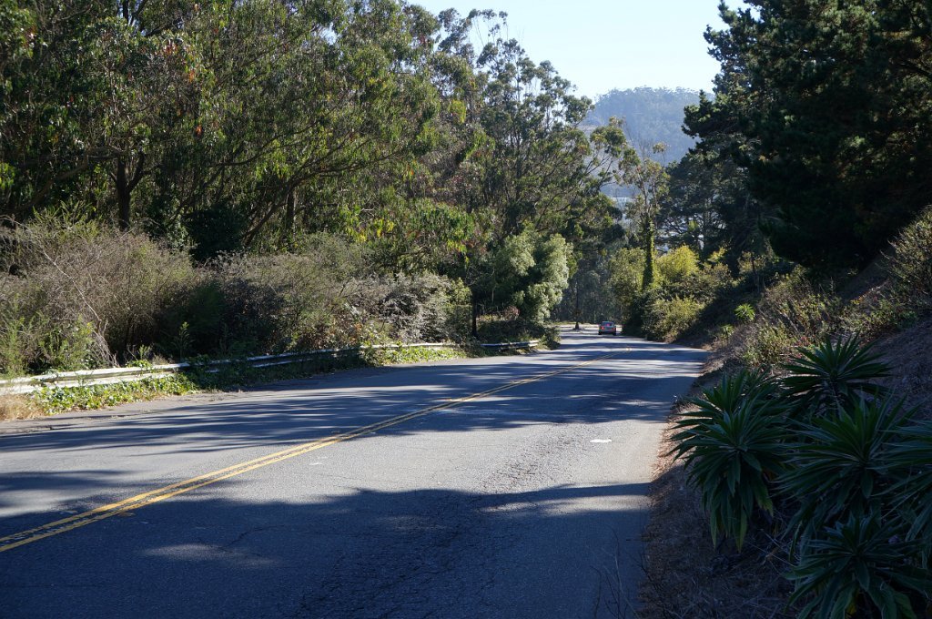 DSC03439