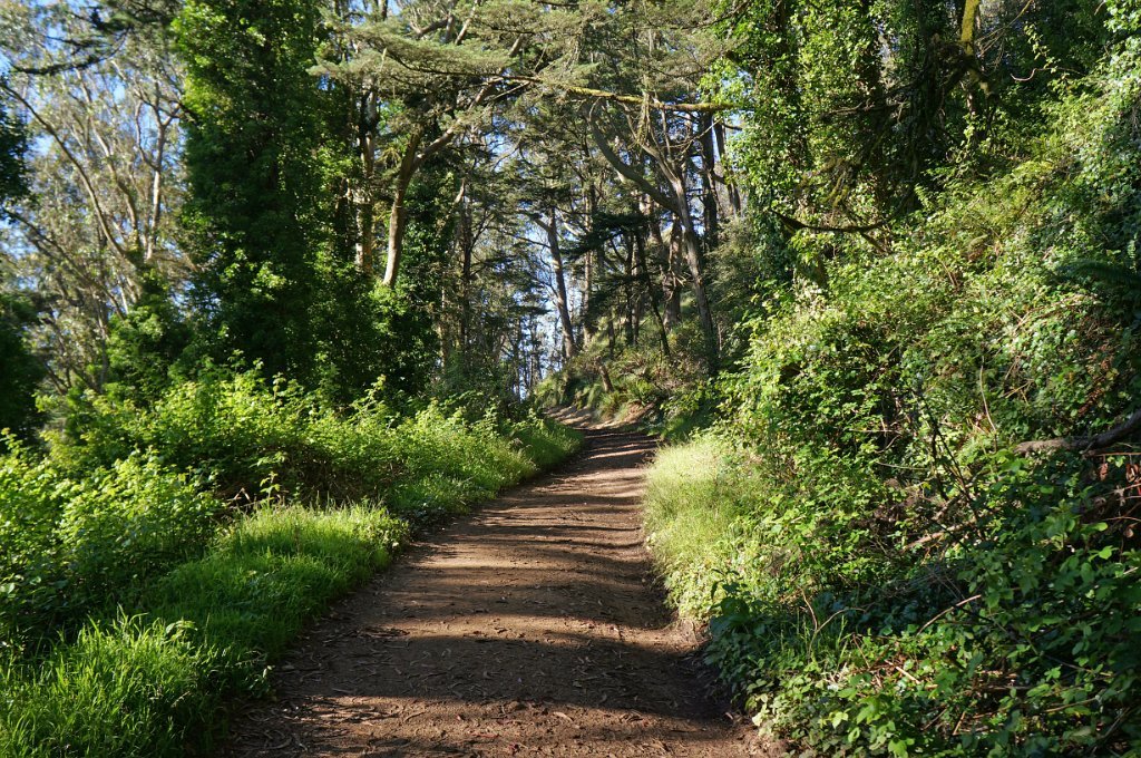 DSC03455