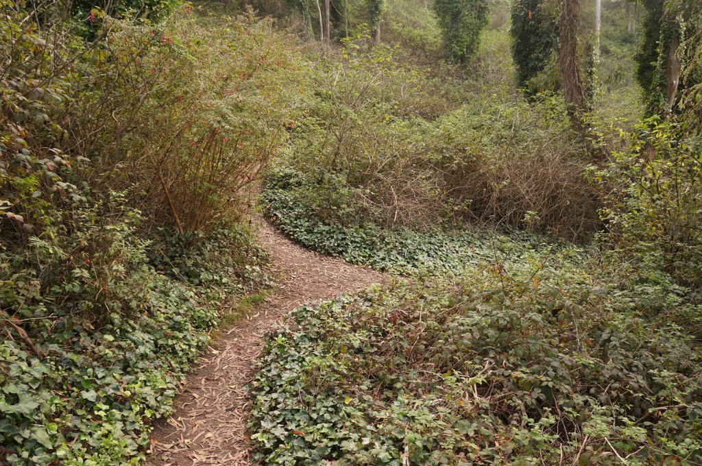DSC03482