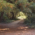 DSC03222