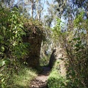 DSC03265