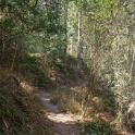 DSC03271