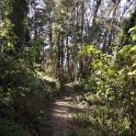 DSC03288