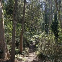 DSC03290