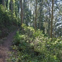 DSC03294