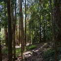 DSC03308