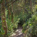 DSC03345