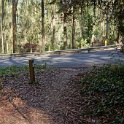 DSC03347