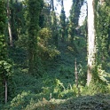 DSC03360