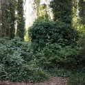 DSC03368
