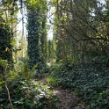 DSC03371