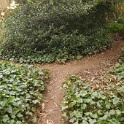 DSC03372