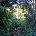 DSC03376