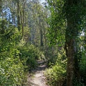 DSC03386