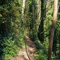 DSC03395