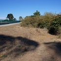 DSC03399
