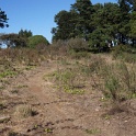 DSC03402