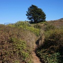 DSC03407