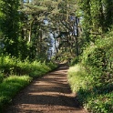 DSC03455