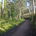 DSC03457