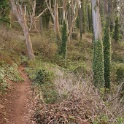 DSC03481