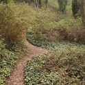 DSC03482