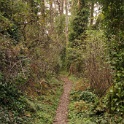 DSC03483