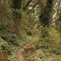 DSC03484