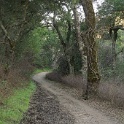 DSC00676