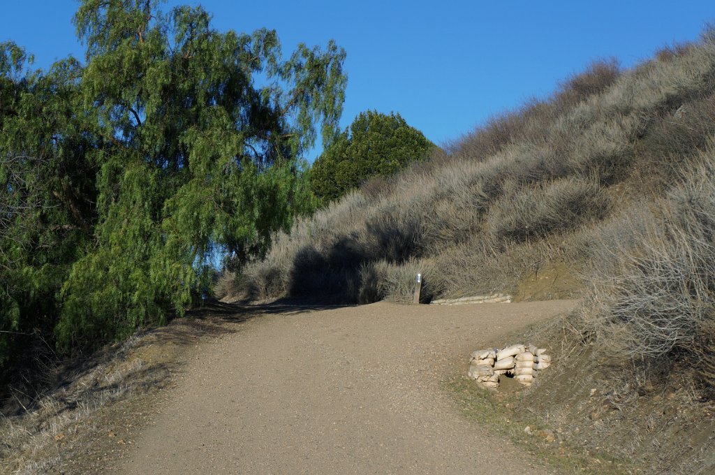 DSC00250