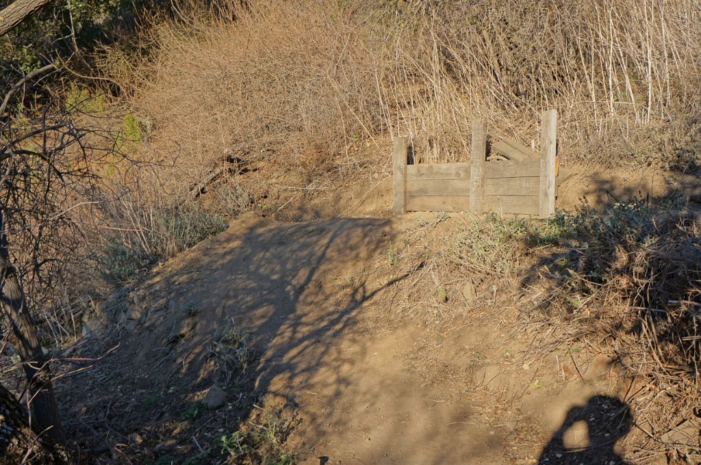 DSC00260