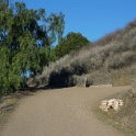 DSC00250