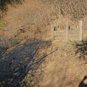 DSC00260