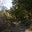 DSC00317