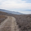 DSC00329