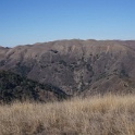 DSC00339
