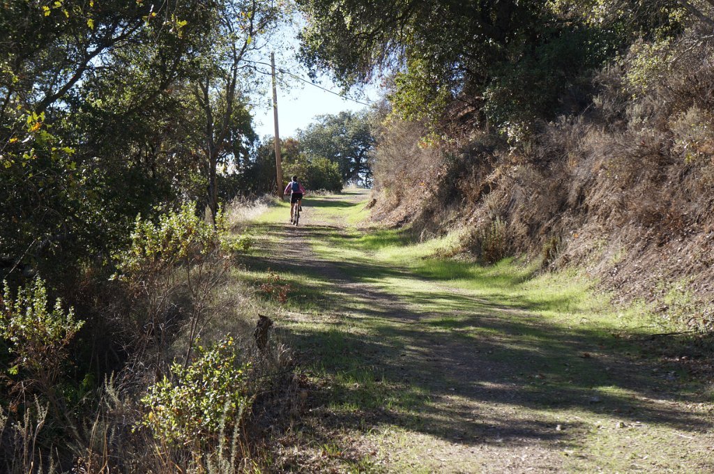 DSC00808