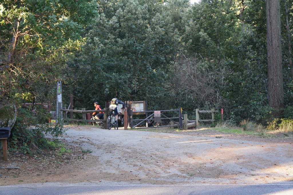 DSC00623